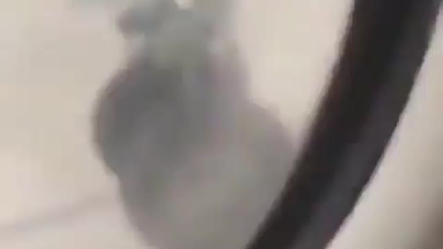 One wheel of the plane opened when it was about to fly