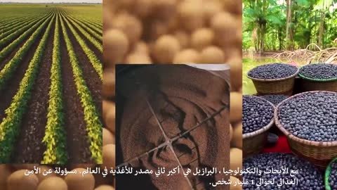 ApexBrasil | Think Big. Think Brazil. (Egypt Version) | 2022
