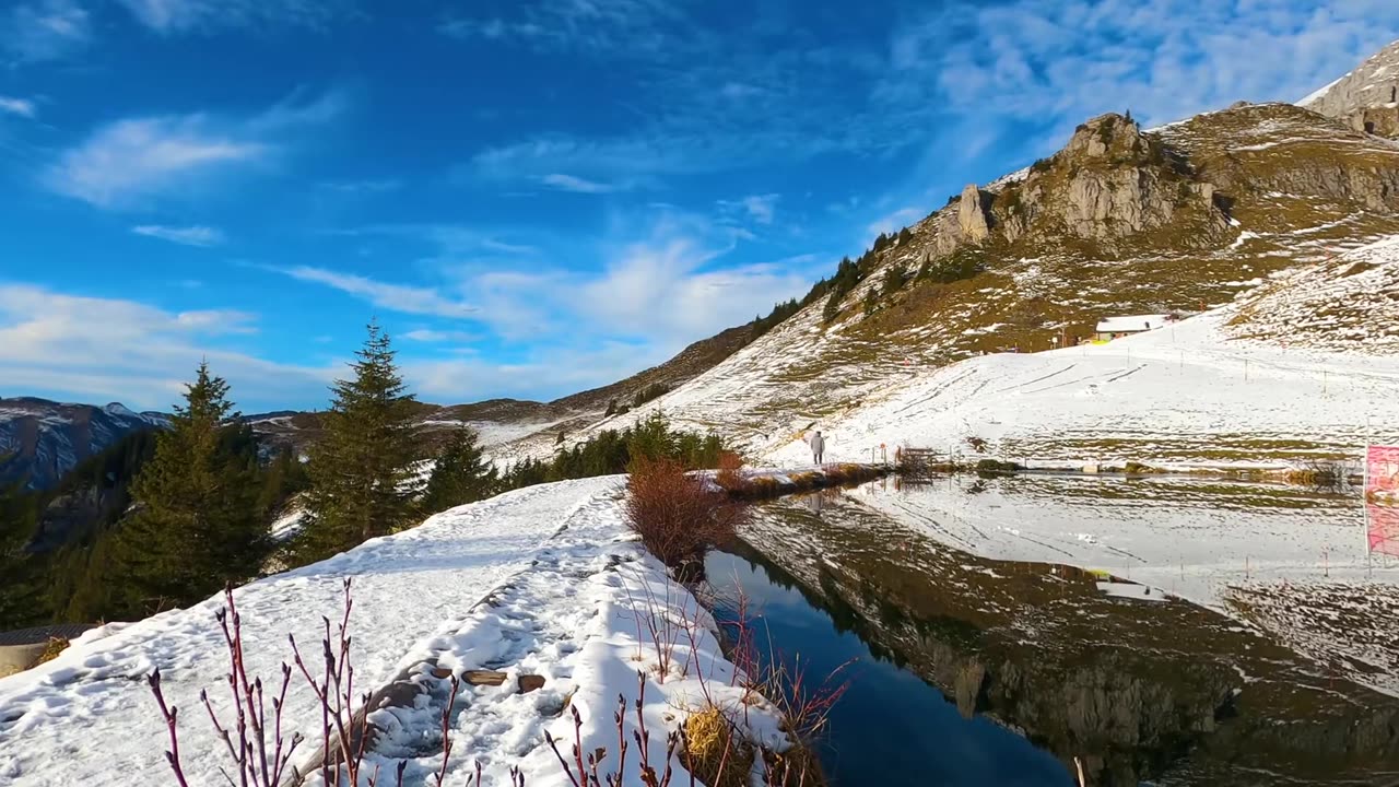 Enjoy these video and follow us to watch good video.