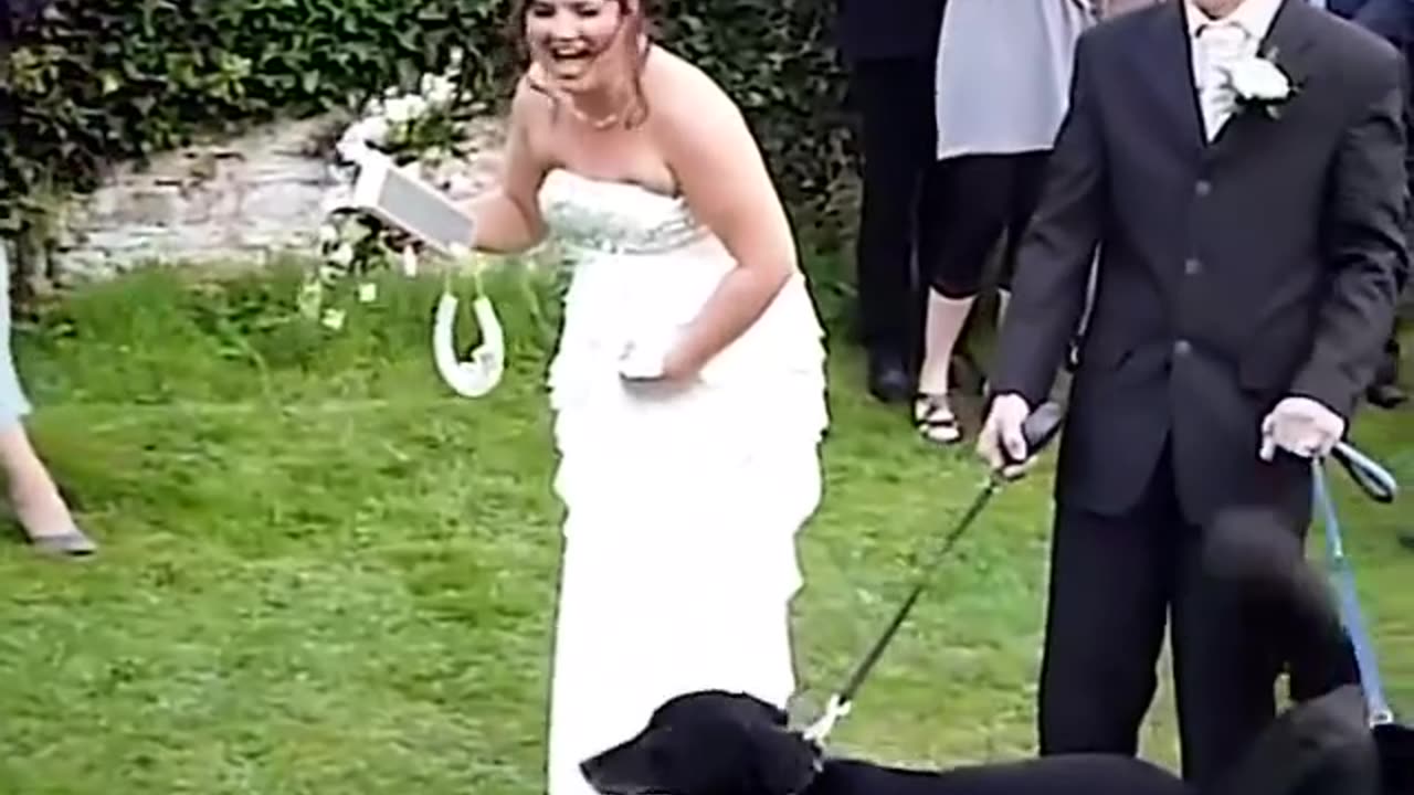 Funny clip