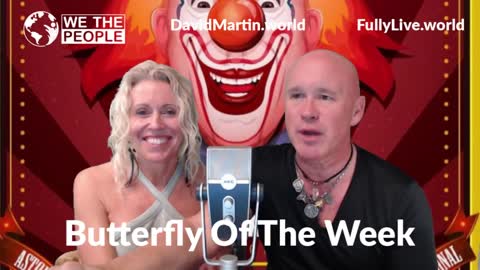 Dr. David Martin - Send in the clowns