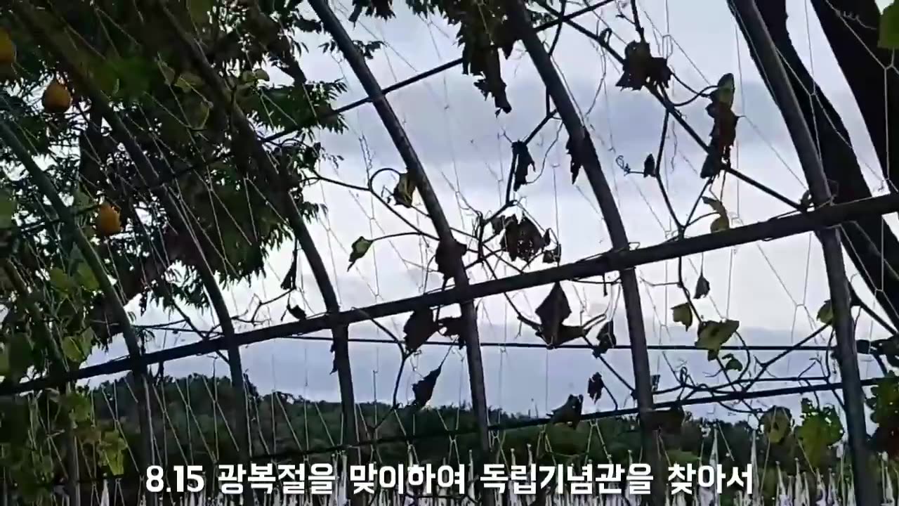 20200811_V3_S01(zmSSTNdxAcQ)8.15 광복절을 맞이하여 독립기념관을 찾아서, 피아노 음악과 함께