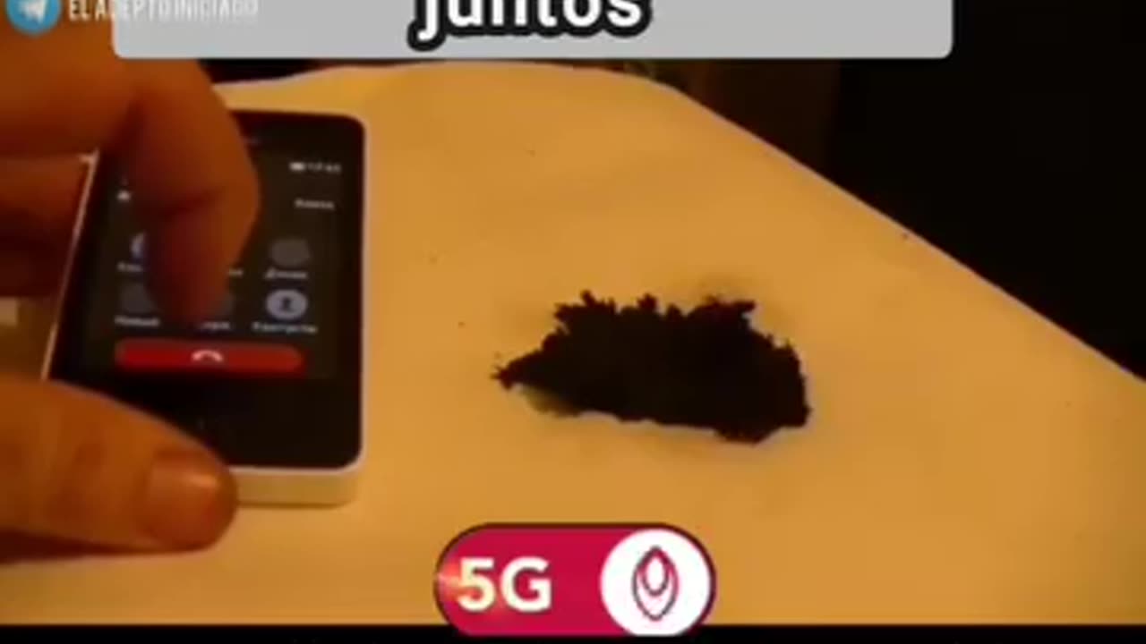 This is effect of 5G on graphene oxide!