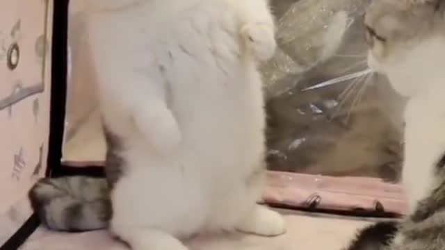 Don't come in😂😃