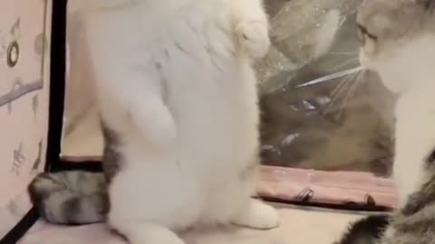 Don't come in😂😃