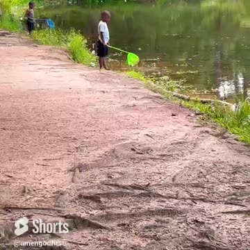 Teach the children the truth #shorts #fyp