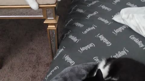 Pillow