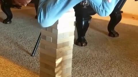 The end 😂😂😂 #funny #viral #shorts #reels #funnyvideos #laughinggenetics