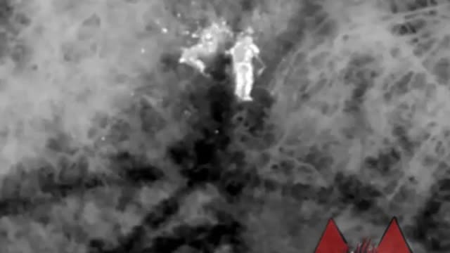 New video from Spartans