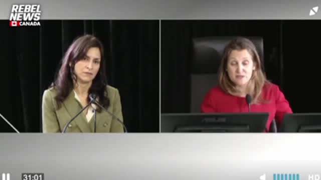 Canadian Bank CEO Told Chrystia Freeland Her Government is a “Banana Republic”