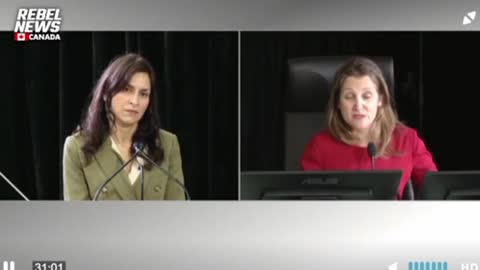 Canadian Bank CEO Told Chrystia Freeland Her Government is a “Banana Republic”