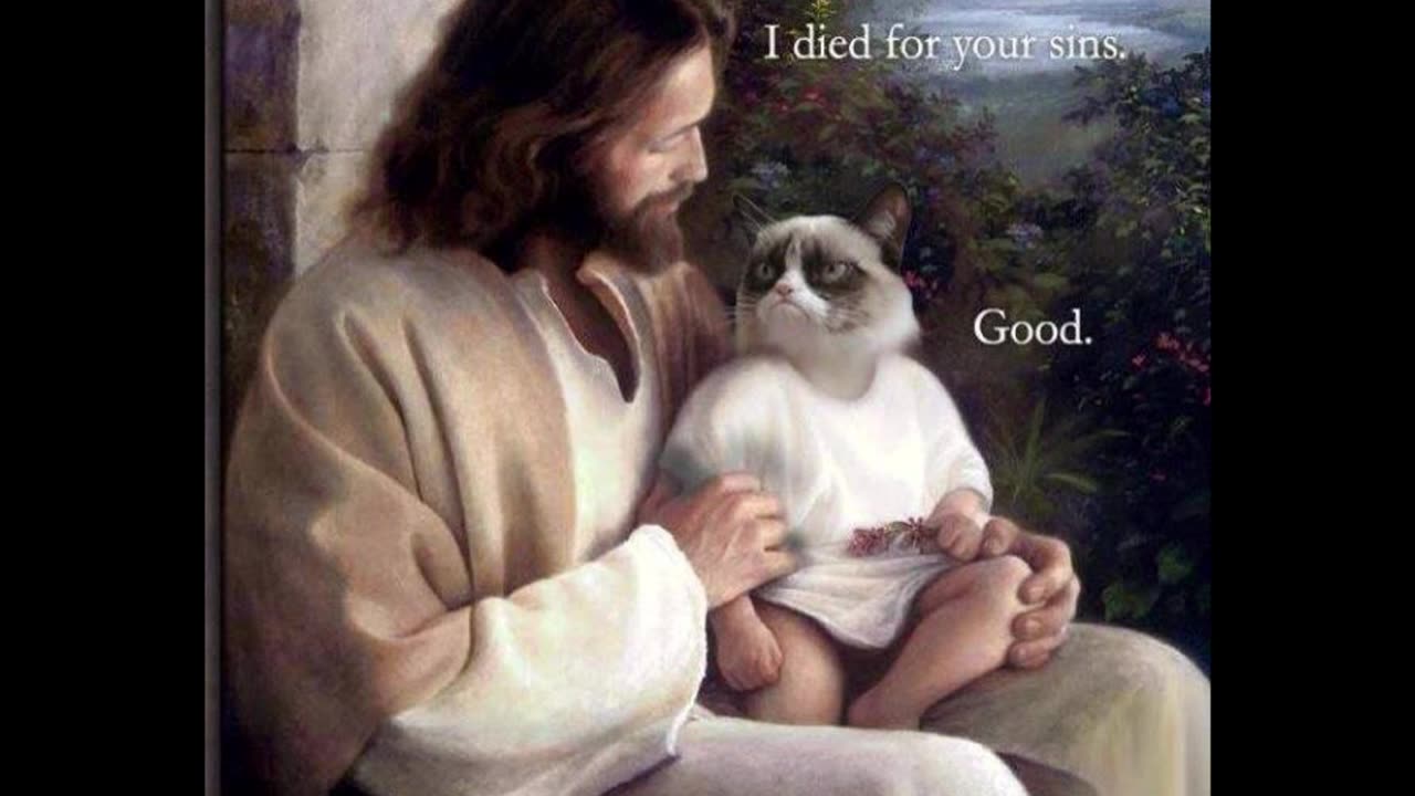 Random Memes 409