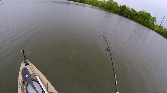 GoPro - Bass Fishing