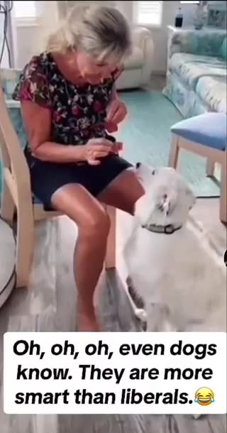 Karli Bonne’ @KarluskaP - Oh yes even the dogs know!