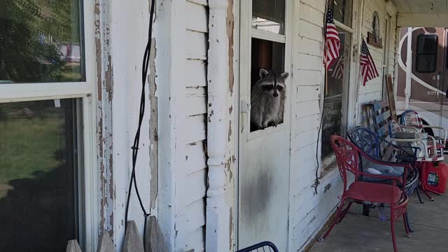 Jerry waiting for some A/C