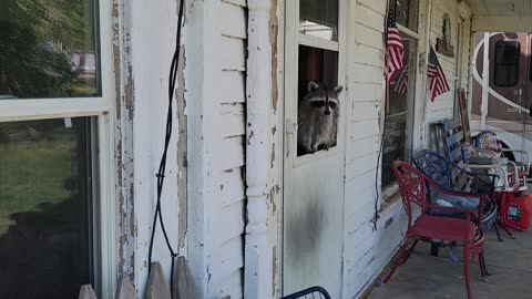 Jerry waiting for some A/C