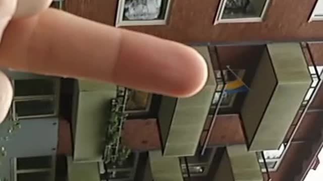 Ukraine Flag In My Neighborhood - We Had To Throw Eggs,😂🤡👍