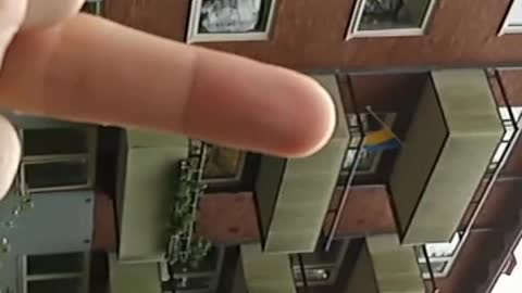 Ukraine Flag In My Neighborhood - We Had To Throw Eggs,😂🤡👍