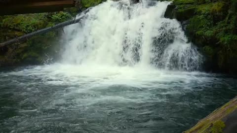 Waterfall relaxing nature 🌲🌴