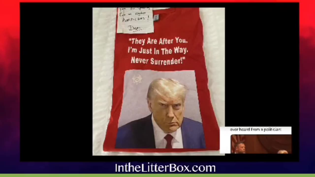 In the Litterbox - T-shirt