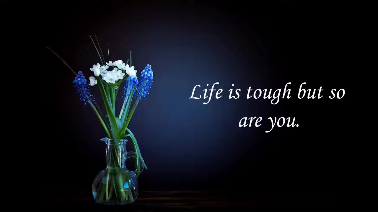 Beautiful Short Quotes | Life Lessons