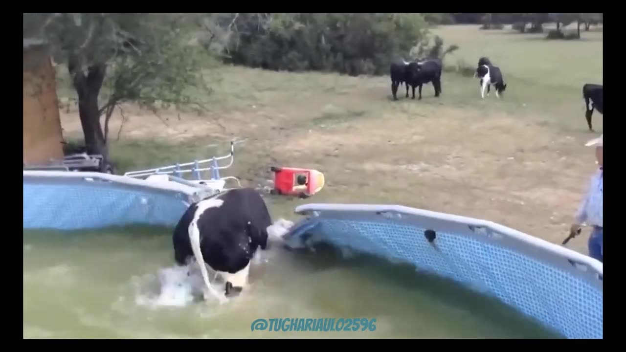 Instant Regret | Funny Moments | Fails Of Compilation 2023