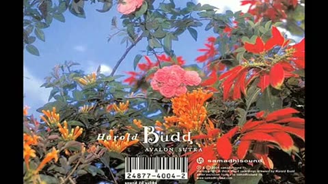 Harold Budd ~ Little Heart
