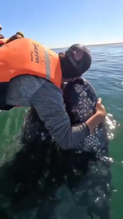 Whale making sounds of joy