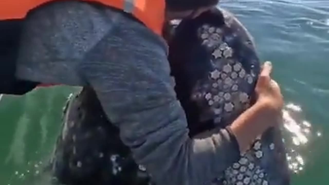 Whale making sounds of joy