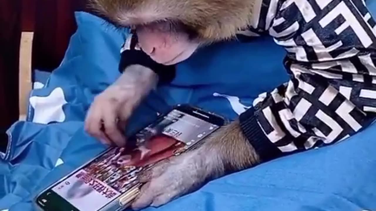 Funny monkey reading😂😂