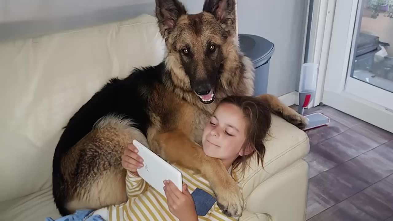 When Your Dog Becomes a Trusted Bodyguard - Cute Moments Dog and Human