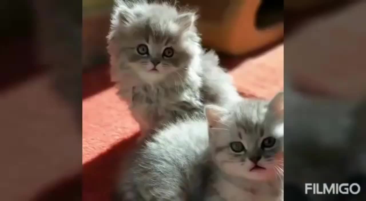 🤣🤣😂😂🤣👏🥰🥰🥰🥰