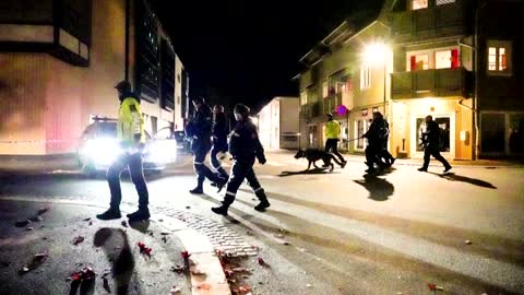 Man with bow and arrow kills five in Norway: police