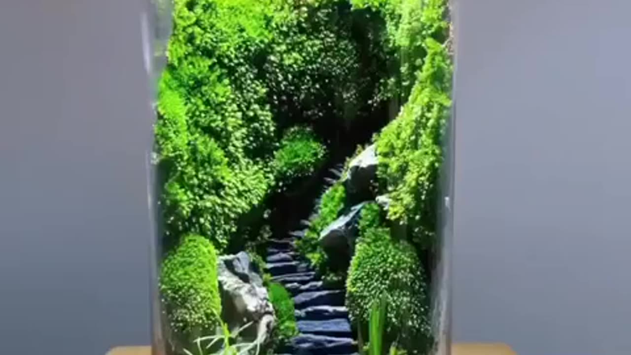 miniature nature