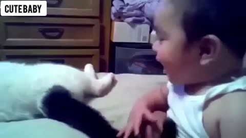 Cute Baby Cats - Cute and Funny Cat Videos Compilation 2023