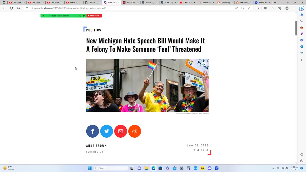 bills like The Michigan Hate Crime Act, designated HB 4474 will bring famine of word