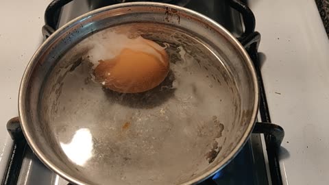 Pulsating vibrations noticed while boiling an egg.