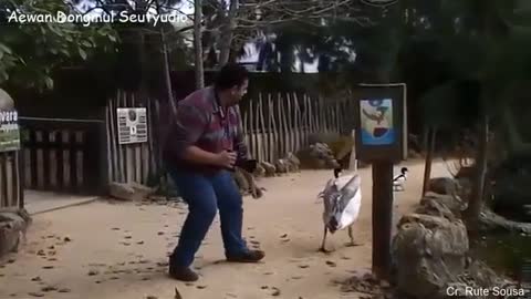 funny video........... فيديو مضحك
