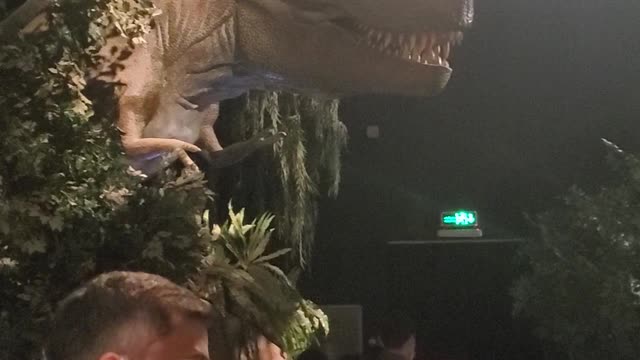 Dinosaur🙈