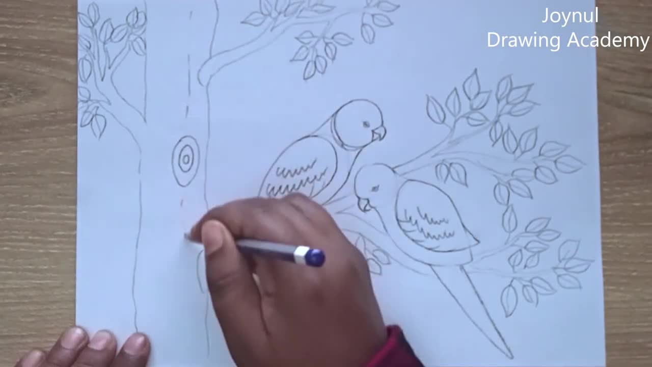 How to draw parrot couple on tree step by step very easyp5