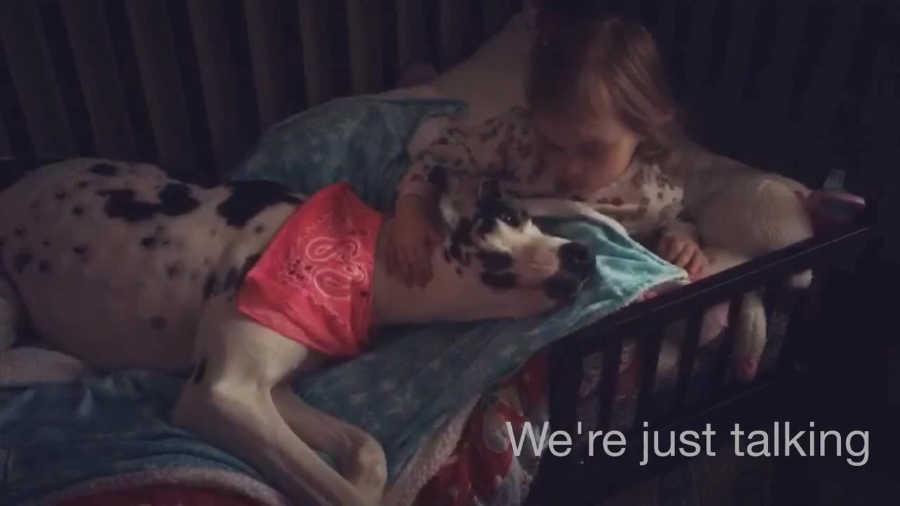 Little girl scolds Great Dane for farting on her bed