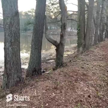 Early Bird Gets The Worm 🐛 #fyp #shorts