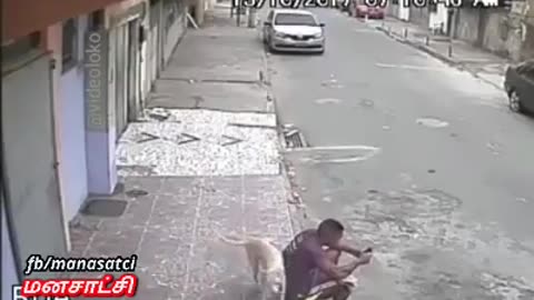 USE OF MOBILE