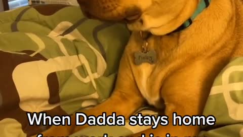 DADDY OCCUPIED MY PLACE.mp4