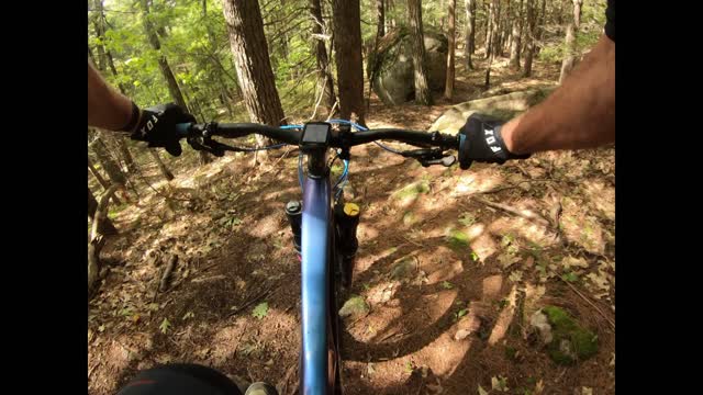 Mountain Biking, NH 9/27/2022