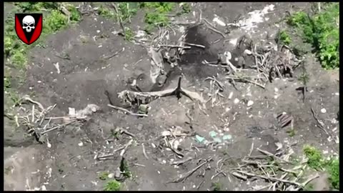 +18 Disturbing Video showing dead and wounded