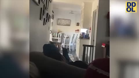 fanny video