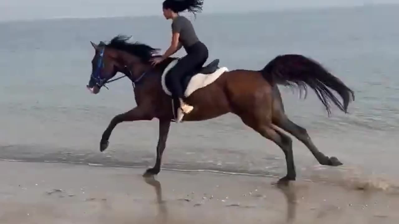 Beach horse riding