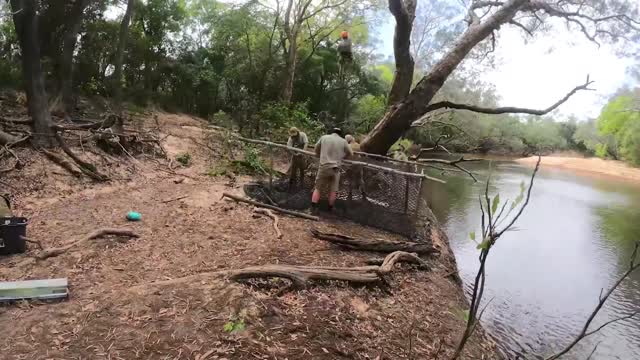 Finding crocs the way Steve taught us