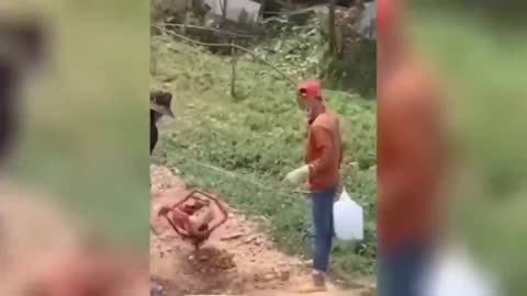 TOTAL IDIOTS AT WORK!!!!